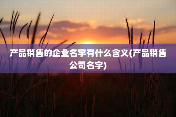 产品销售的企业名字有什么含义(产品销售公司名字)