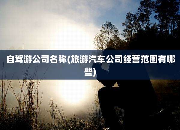 自驾游公司名称(旅游汽车公司经营范围有哪些)