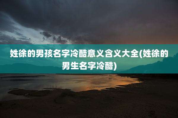 姓徐的男孩名字冷酷意义含义大全(姓徐的男生名字冷酷)