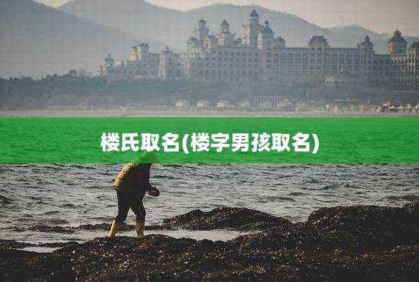 楼氏取名(楼字男孩取名)