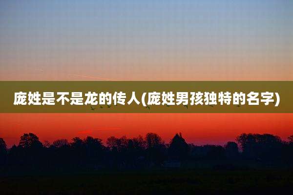 庞姓是不是龙的传人(庞姓男孩独特的名字)