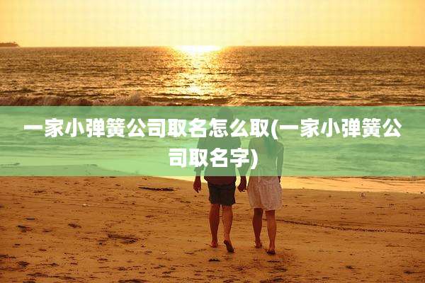 一家小弹簧公司取名怎么取(一家小弹簧公司取名字)