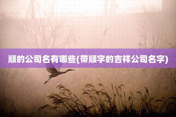 顺的公司名有哪些(带顺字的吉祥公司名字)