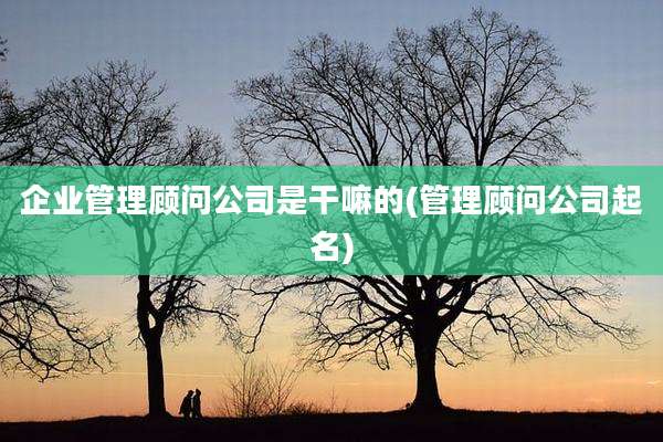 企业管理顾问公司是干嘛的(管理顾问公司起名)