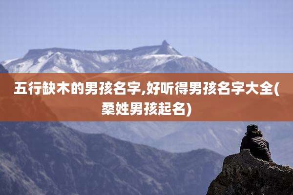 五行缺木的男孩名字,好听得男孩名字大全(桑姓男孩起名)