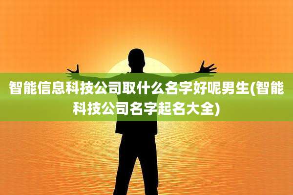 智能信息科技公司取什么名字好呢男生(智能科技公司名字起名大全)