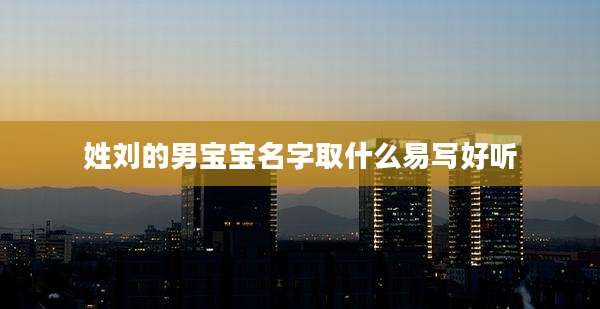 姓刘的男宝宝名字取什么易写好听