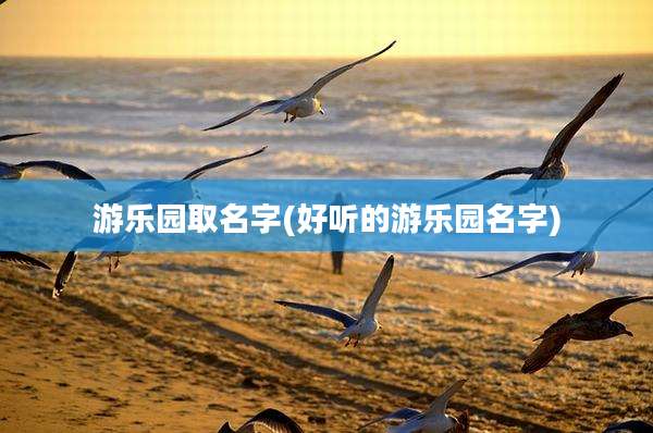 游乐园取名字(好听的游乐园名字)