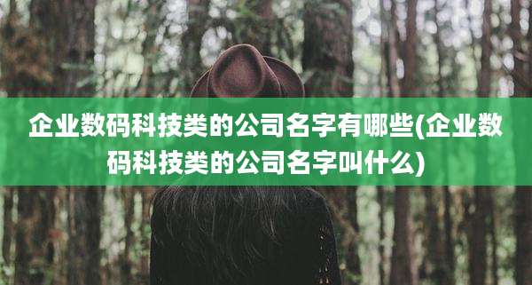 企业数码科技类的公司名字有哪些(企业数码科技类的公司名字叫什么)