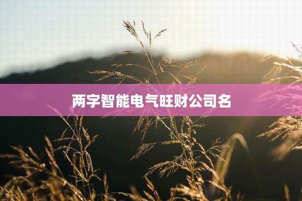 两字智能电气旺财公司名