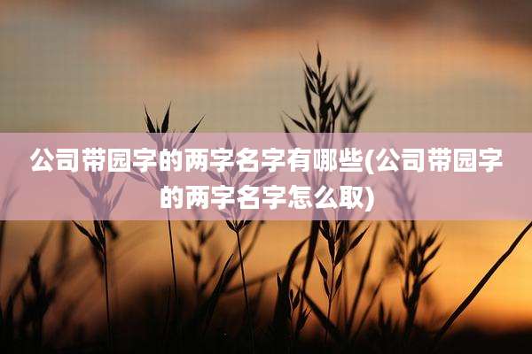 公司带园字的两字名字有哪些(公司带园字的两字名字怎么取)