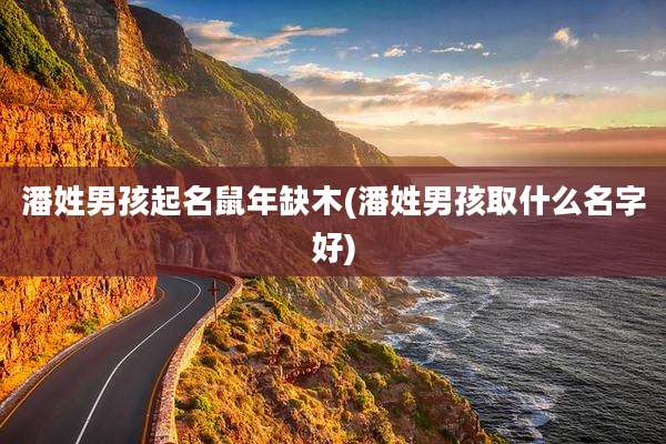 潘姓男孩起名鼠年缺木(潘姓男孩取什么名字好)