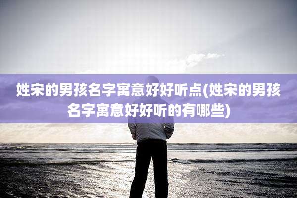 姓宋的男孩名字寓意好好听点(姓宋的男孩名字寓意好好听的有哪些)