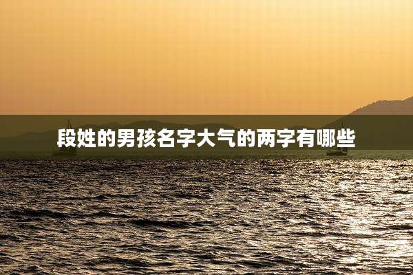 段姓的男孩名字大气的两字有哪些