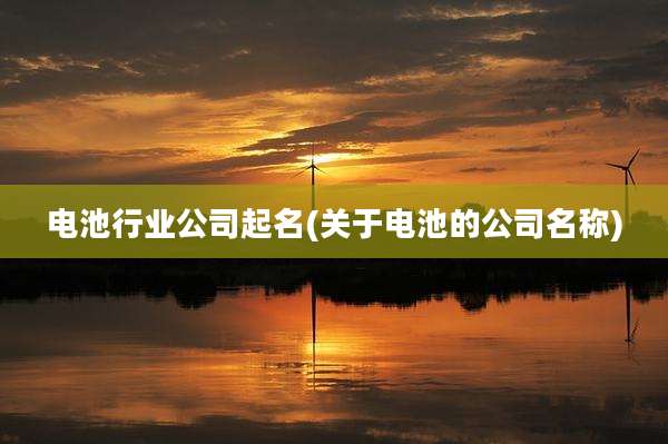 电池行业公司起名(关于电池的公司名称)