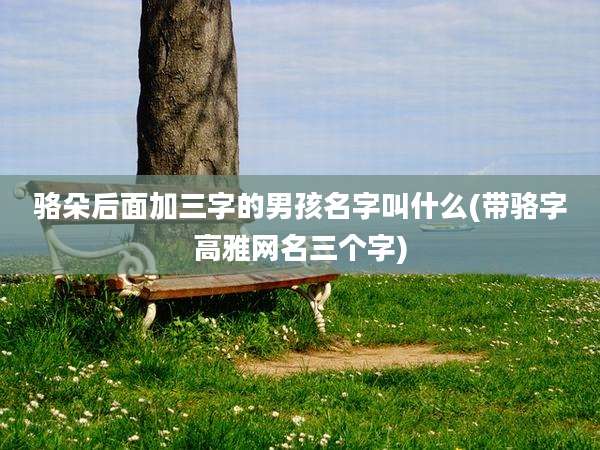 骆朵后面加三字的男孩名字叫什么(带骆字高雅网名三个字)