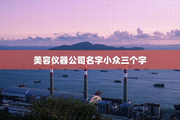 美容仪器公司名字小众三个字