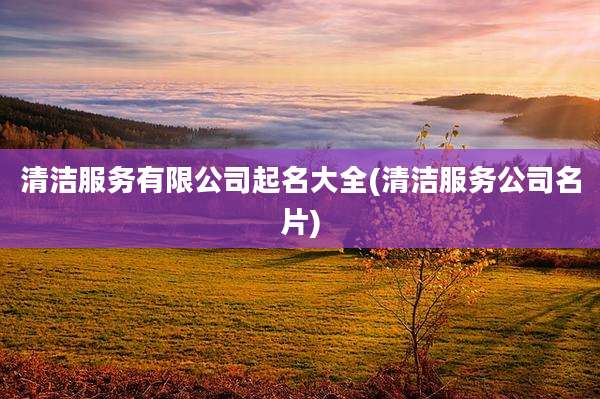 清洁服务有限公司起名大全(清洁服务公司名片)