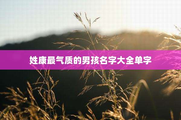 姓康最气质的男孩名字大全单字