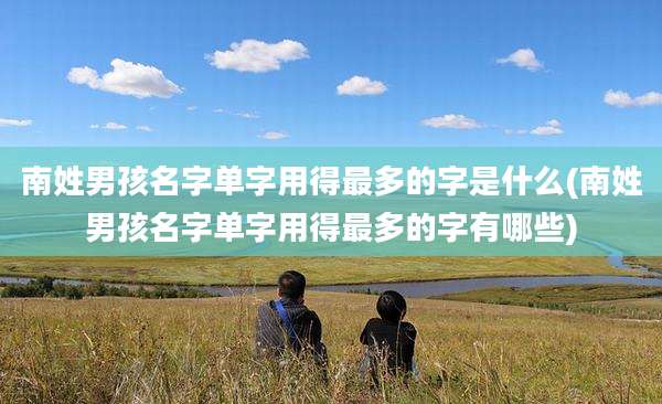 南姓男孩名字单字用得最多的字是什么(南姓男孩名字单字用得最多的字有哪些)