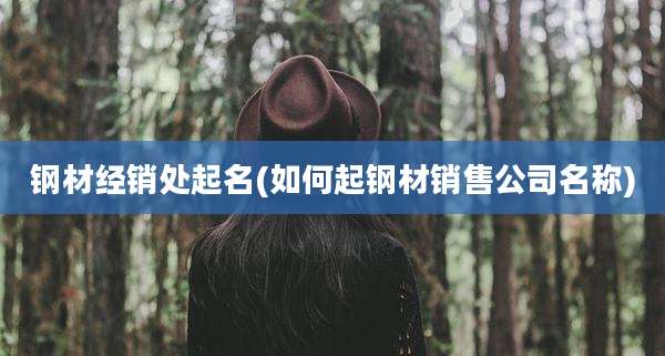 钢材经销处起名(如何起钢材销售公司名称)