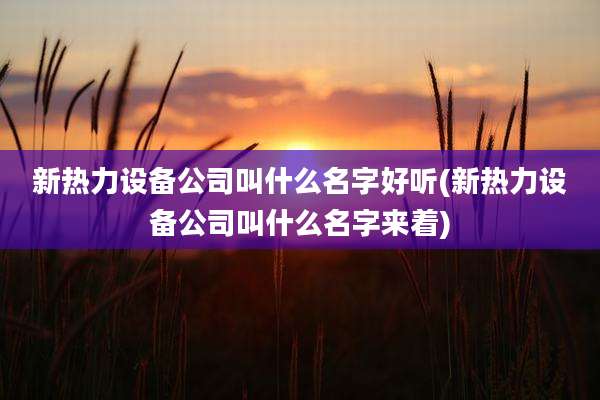 新热力设备公司叫什么名字好听(新热力设备公司叫什么名字来着)