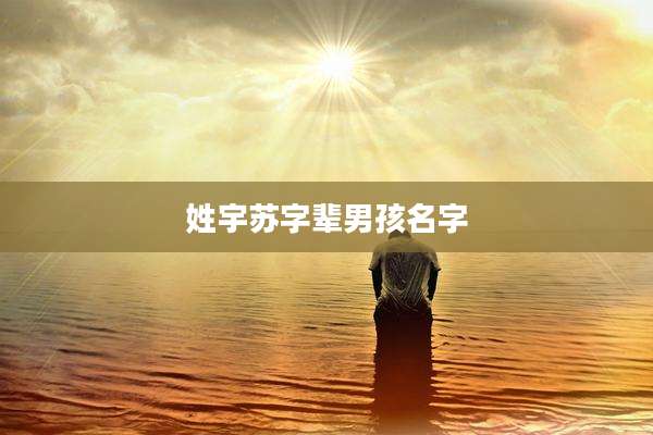 姓宇苏字辈男孩名字
