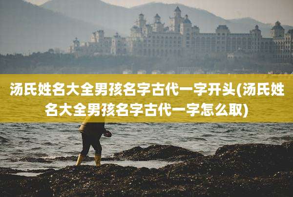 汤氏姓名大全男孩名字古代一字开头(汤氏姓名大全男孩名字古代一字怎么取)