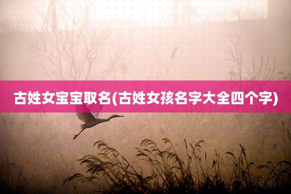 古姓女宝宝取名(古姓女孩名字大全四个字)