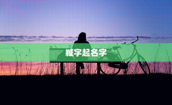 臧字起名字