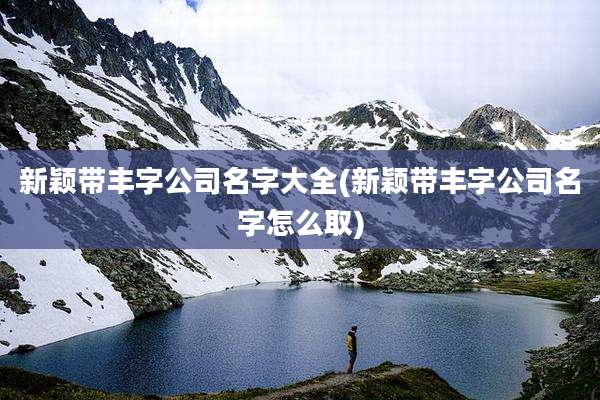 新颖带丰字公司名字大全(新颖带丰字公司名字怎么取)