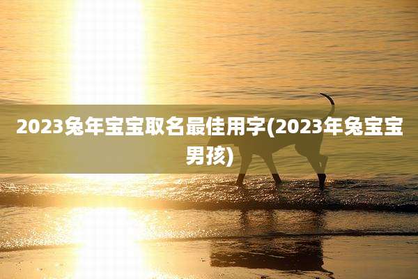 2023兔年宝宝取名最佳用字(2023年兔宝宝男孩)
