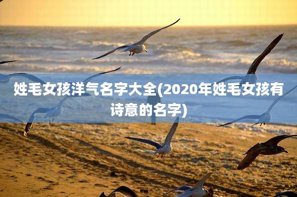 姓毛女孩洋气名字大全(2020年姓毛女孩有诗意的名字)