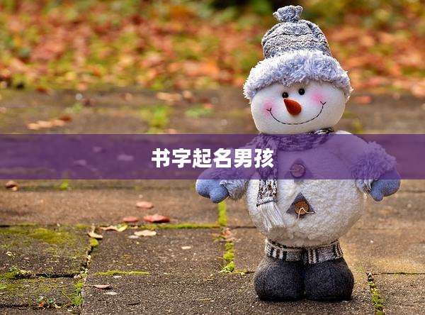 书字起名男孩