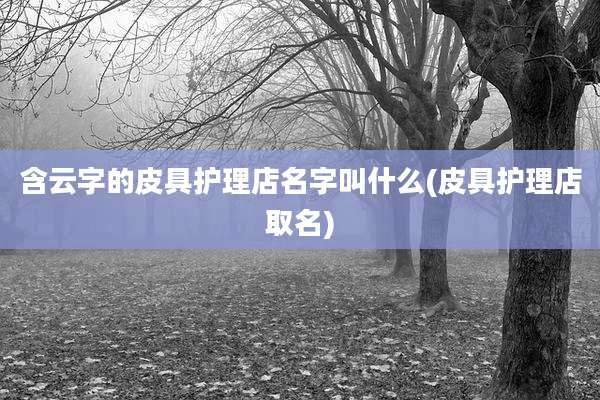 含云字的皮具护理店名字叫什么(皮具护理店取名)