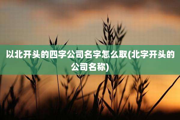 以北开头的四字公司名字怎么取(北字开头的公司名称)