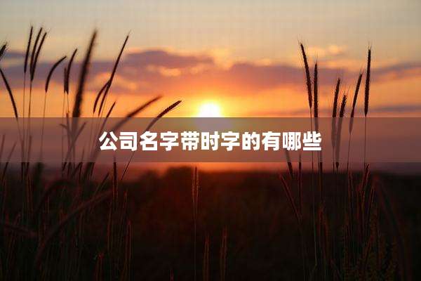 公司名字带时字的有哪些