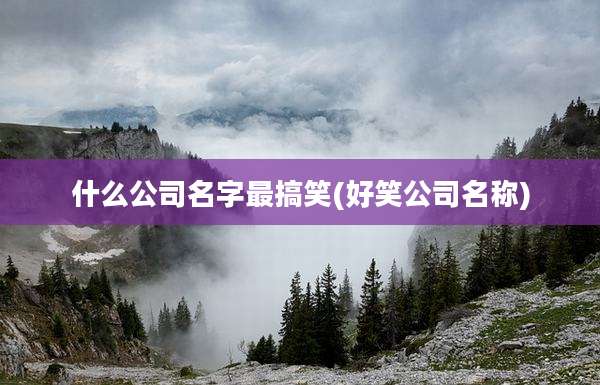 什么公司名字最搞笑(好笑公司名称)