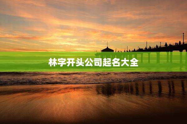 林字开头公司起名大全