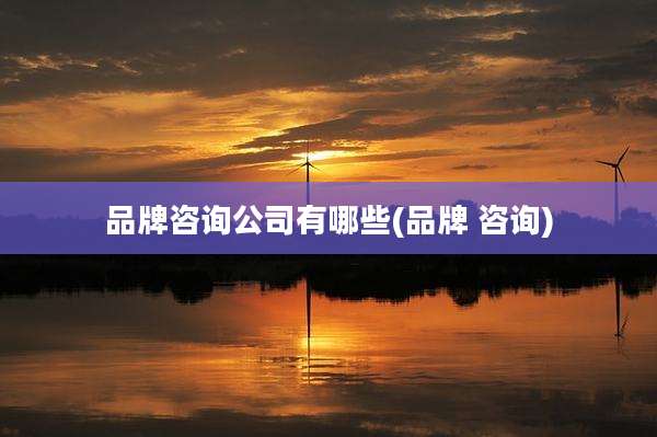 品牌咨询公司有哪些(品牌 咨询)