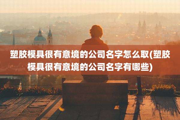 塑胶模具很有意境的公司名字怎么取(塑胶模具很有意境的公司名字有哪些)
