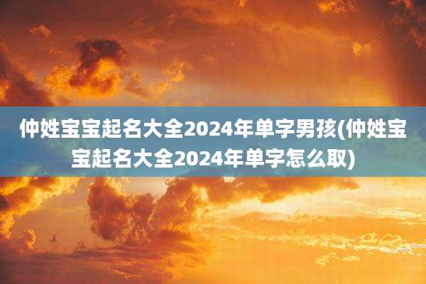 仲姓宝宝起名大全2024年单字男孩(仲姓宝宝起名大全2024年单字怎么取)