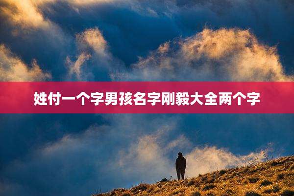 姓付一个字男孩名字刚毅大全两个字