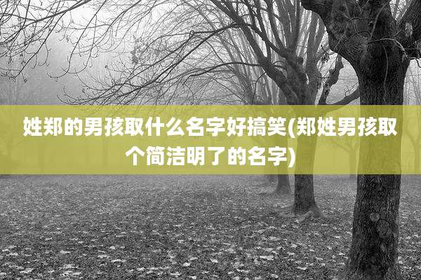姓郑的男孩取什么名字好搞笑(郑姓男孩取个简洁明了的名字)