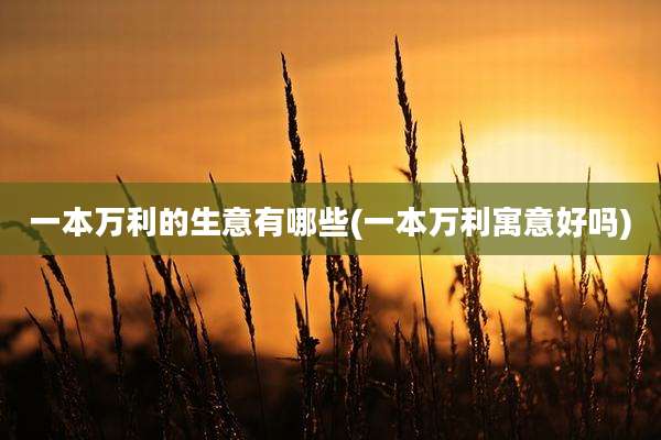 一本万利的生意有哪些(一本万利寓意好吗)