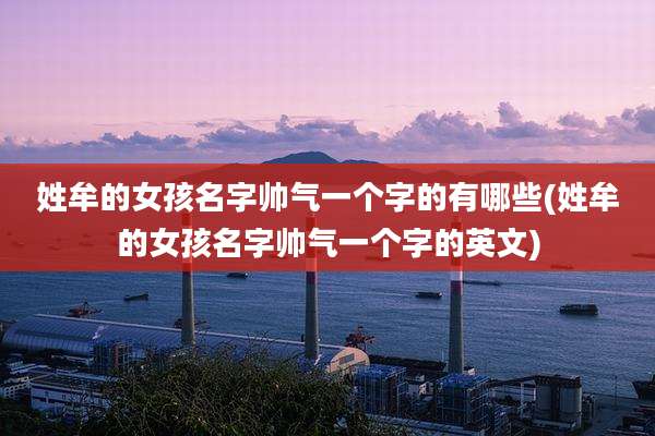 姓牟的女孩名字帅气一个字的有哪些(姓牟的女孩名字帅气一个字的英文)
