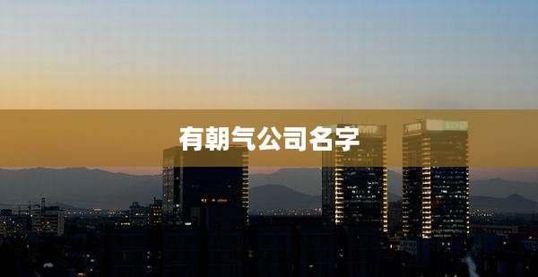 有朝气公司名字