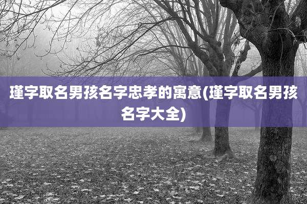 瑾字取名男孩名字忠孝的寓意(瑾字取名男孩名字大全)