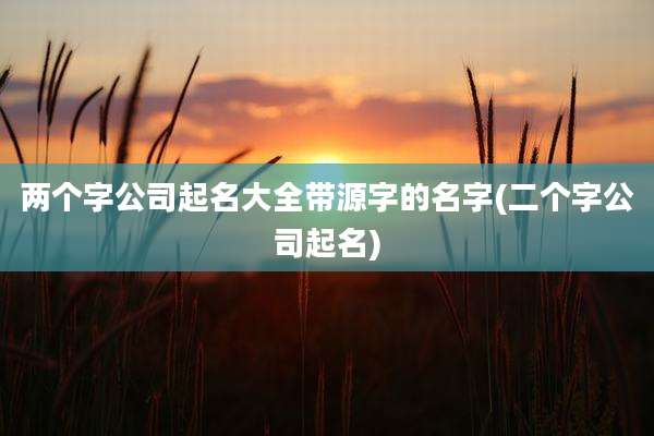 两个字公司起名大全带源字的名字(二个字公司起名)