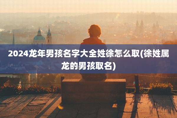 2024龙年男孩名字大全姓徐怎么取(徐姓属龙的男孩取名)